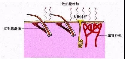 三恒系統微課堂之毛細管輻射系統