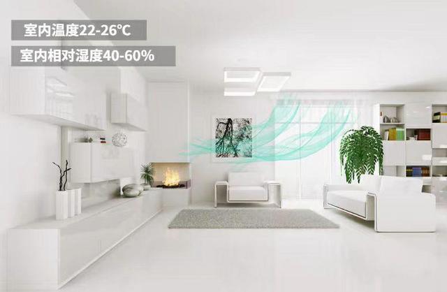 五恒系統的發展受哪些因素影響？